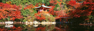 Daigo Temple Kyoto, Japan