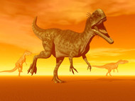 Three Monolophosaurus Dinosaurs In The Desert By Sunset