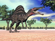Spinosaurus Standing In The Desert With Trees