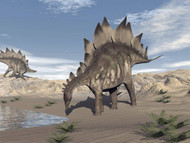 Stegosaurus Dinosaur Drinking Water In The Desert
