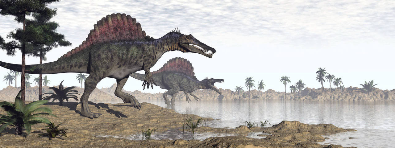 dinosaurs spinosaurus in water