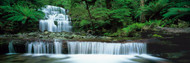 Liffey Falls, Tasmania