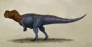 Ceratosaurus Dentisulcatus, A Theropod From The Jurassic Period