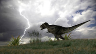 Tyrannosaurus Rex Hunting In An Open Field During A Lightning Storm II