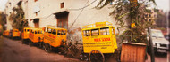 Public School Rickshaws Old Delhi