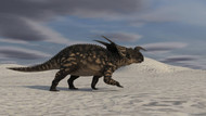 Brown Einiosaurus Walking Across A Desert Landscape