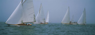 Sailboats at Regatta Newport