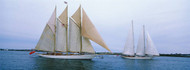 Sailboats in Narragansett Bay, Newport