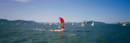 Sailboats in San Francisco Bay