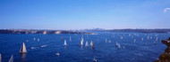 Sailboats in Sydney Harbor
