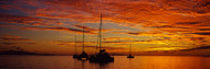 Sailboats in Tahaitian Sunset