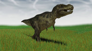 Tyrannosaurus Rex Hunting For Its Next Meal In A Grassy Field
