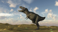 Tyrannosaurus Rex On Desert Terrain