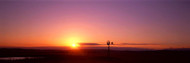 Sunset and Windmill