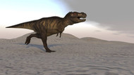 Tyrannosaurus Rex Running Across A Desert Landscape II