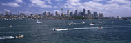 Sydney Harbor with Skyline and Boats