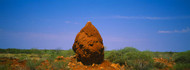 Termite Mound Australia