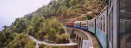 Toy Train Himachal Pradesh
