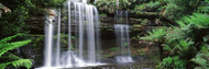 Waterfall Mt. Field National Park