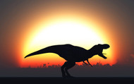 A T. Rex Silhouetted Against The Setting Sun At The End Of A Prehistoric Day