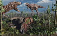 Two T. Rex Dinosaurs Confront Each Other Over A Dead Triceratops
