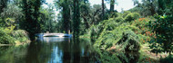 Bridge Over Swamp Magnolia Plantation and Gardens