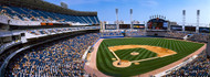 Cellular Field High Angle