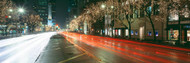 Christmas Lights Michigan Ave