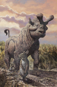 Brontops And Palaeolagus Rabbit Of The Early Miocene Epoch