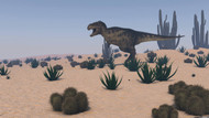Tyrannosaurus Rex Hunting In A Desert
