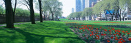 Grant Park with Tulips