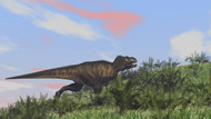 Tyrannosaurus Rex Hunting In An Open Field I