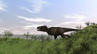 Tyrannosaurus Rex Hunting In An Open Field II
