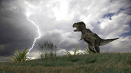 Tyrannosaurus Rex Hunting In An Open Field During A Lightning Storm I