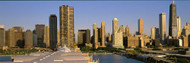 Skyline with Ferris Wheel Chicago