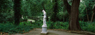 Statue in a Garden Middleton Place