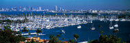 Boats Moored in Harbor San Diego