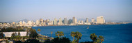 San Diego Bay View of Skyline Palm Trees