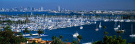 Aerial View of Boats in Harbor San Diego