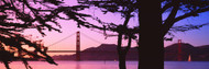 Golden Gate Bridge at Dusk Tree Silhouette
