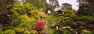 Cottage in Japanese Tea Garden