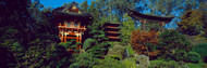 Pagodas in Japanese Tea Garden