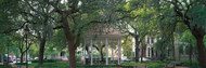 Whitefield Square Historic District Savannah