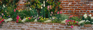 Flower Beds Along A Brick Wall