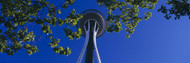 Space Needle with Maple Trees