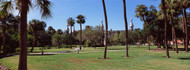 Plant Park University of Tampa