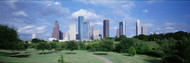 Houston Cityscape with Trees