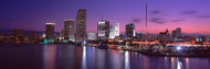 Night Cityscape Miami