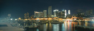 Night Harbor Miami