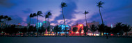 Palm Trees at Night Ocean Drive